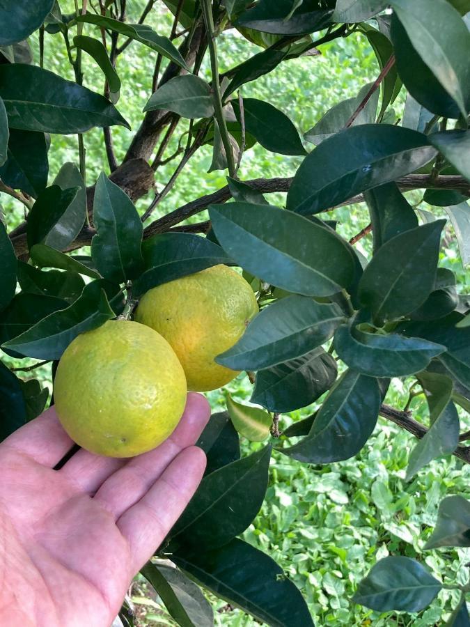 Garden Апартаменты *